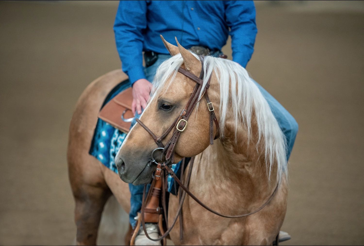 Man on palomino horse
