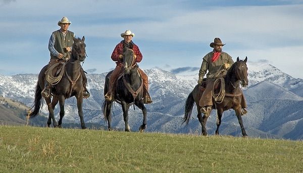 Three cowboys riding horses across a field with mountains in the background