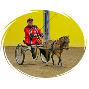 Idaho Miniature Horse Club